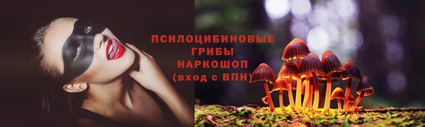 Альфа ПВП Балабаново