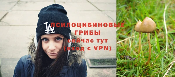 Альфа ПВП Балабаново